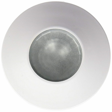 LaSalle Bristol GSAM4016 White Halogen RV Light With Mounting Collar - Clear Lens Questions & Answers